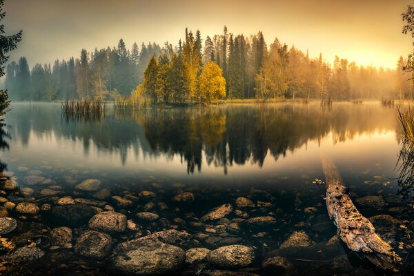 Puesta de sol en el fondo del lago y el bosque