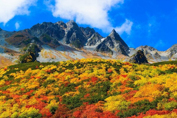 Goldener Herbst in den Bergen vor dem Hintergrund des blauen Himmels