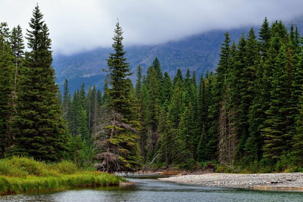 Cosa ti serve per la felicità: foresta, montagne, fiume e tenda