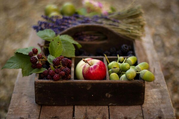 Cesto di frutta autunnale