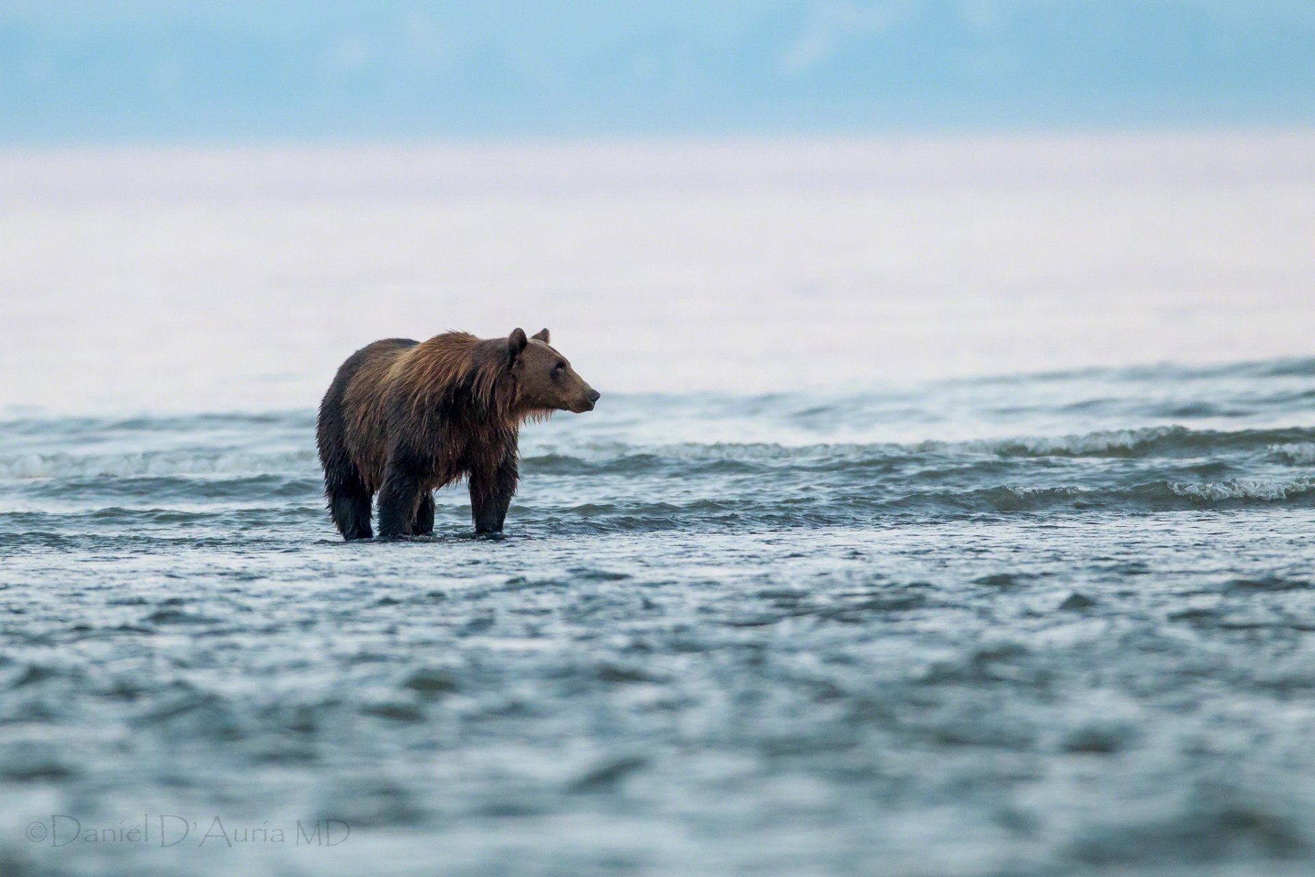 bear lake water