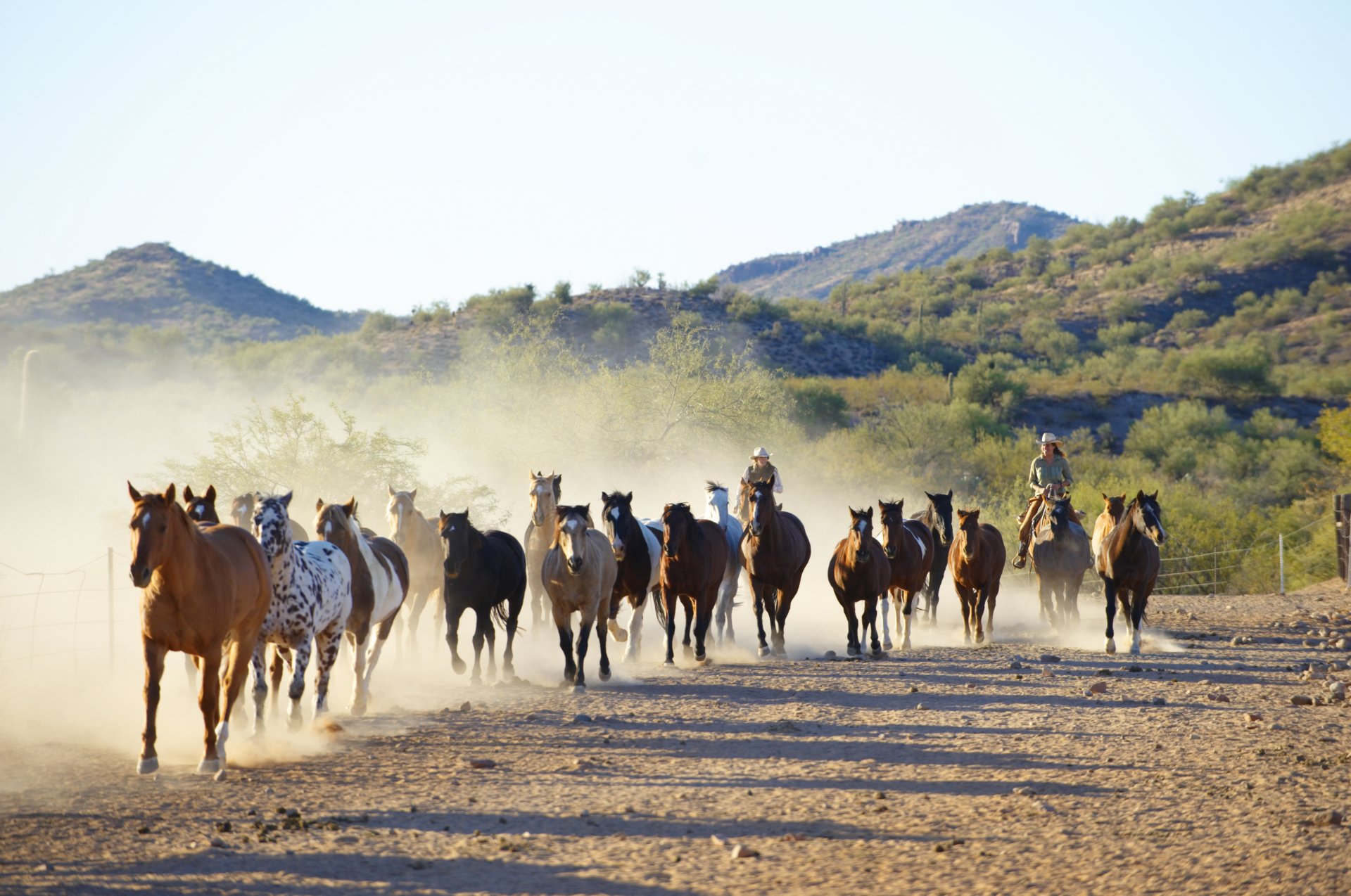 caballos manada correr jinetes vaqueros corral coral naturaleza canon 60d