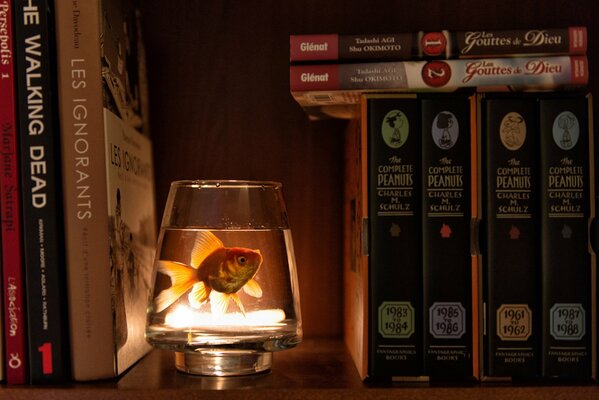 There is a fish swimming in a glass in the cupboard among the books