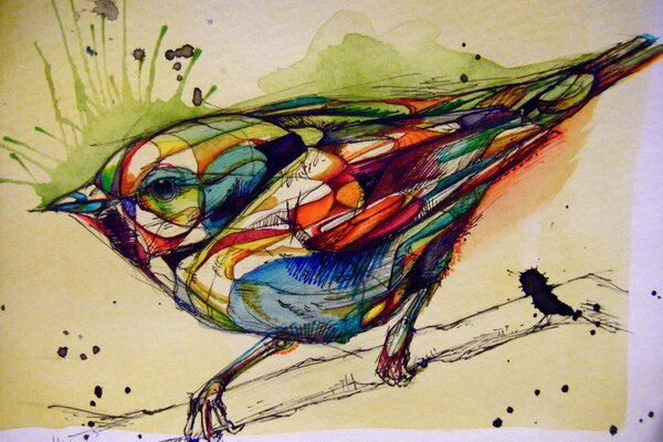 Цветной рисунок птицы на бумаге