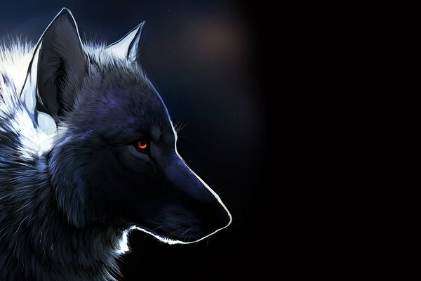 Loup solitaire avec des yeux ambrés sur fond noir