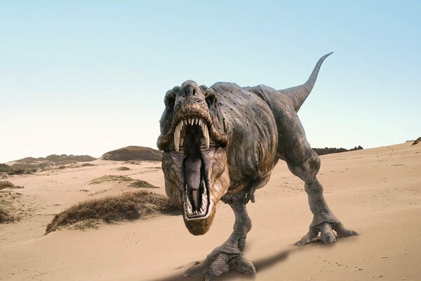 Dinosaur rex on the sand