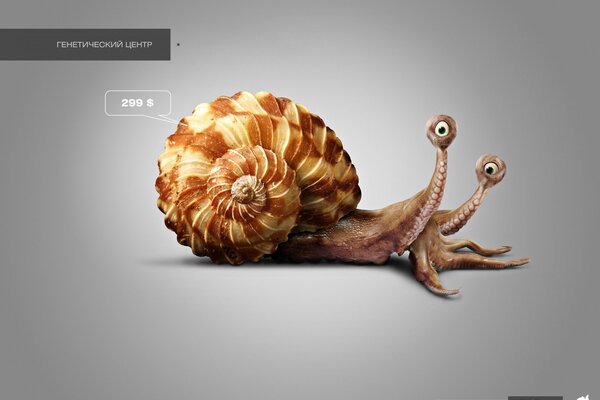 Webdesign zweiäugige Schnecke zum Preis von 299 US-Dollar