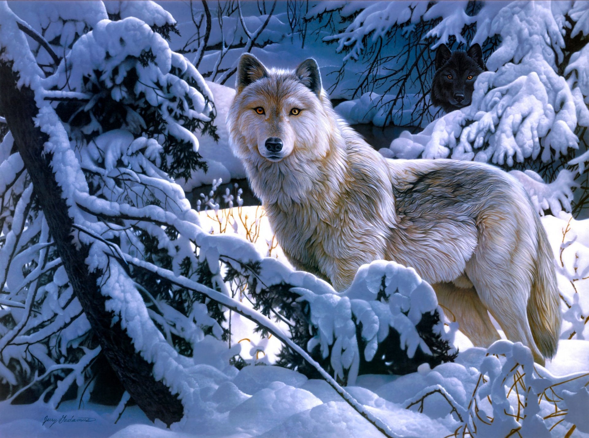 jerry gadamus loup hiver forêt neige art