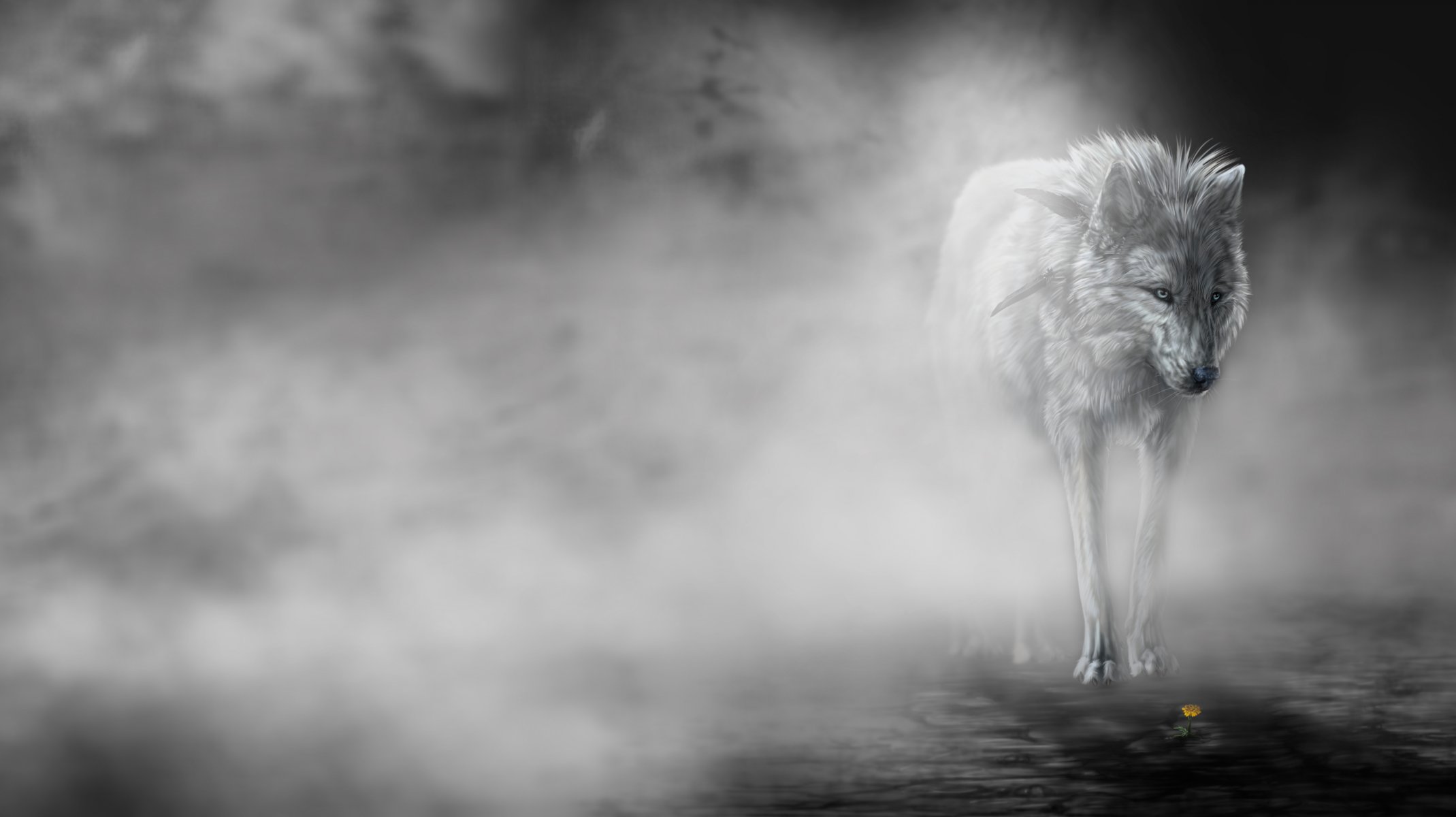 brouillard art loup fleur