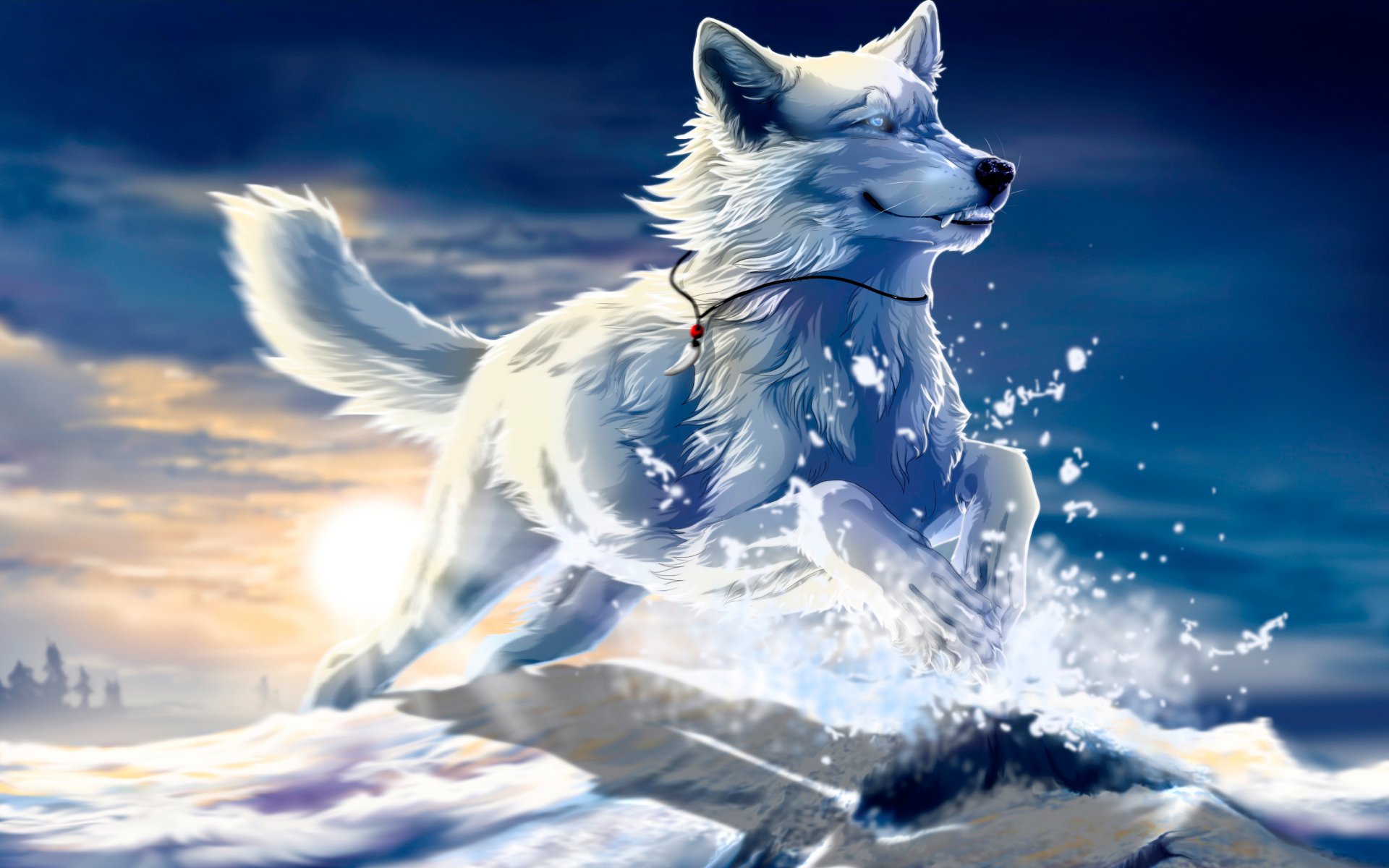 être libre art loup blanc neige saut fang coucher de soleil soleil