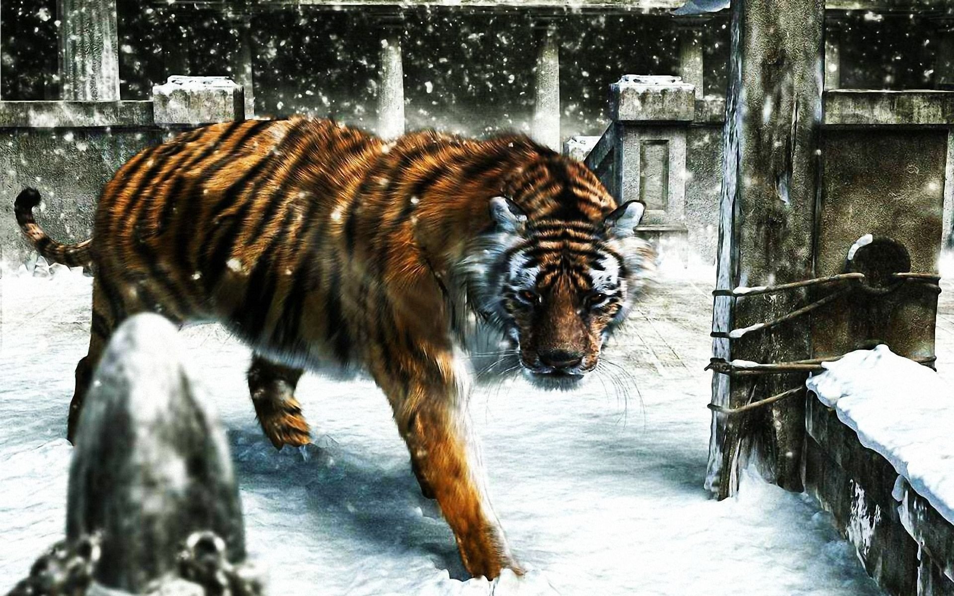 tigre va neige hiver rendu