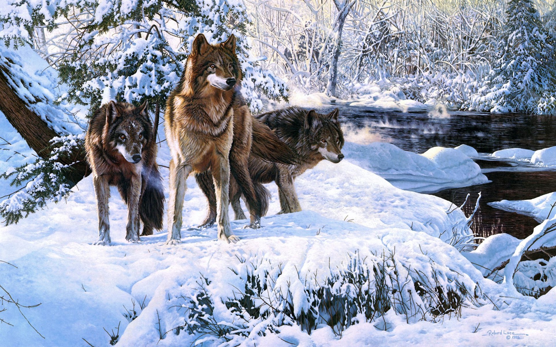 richard luce wolves winter snow river forest art