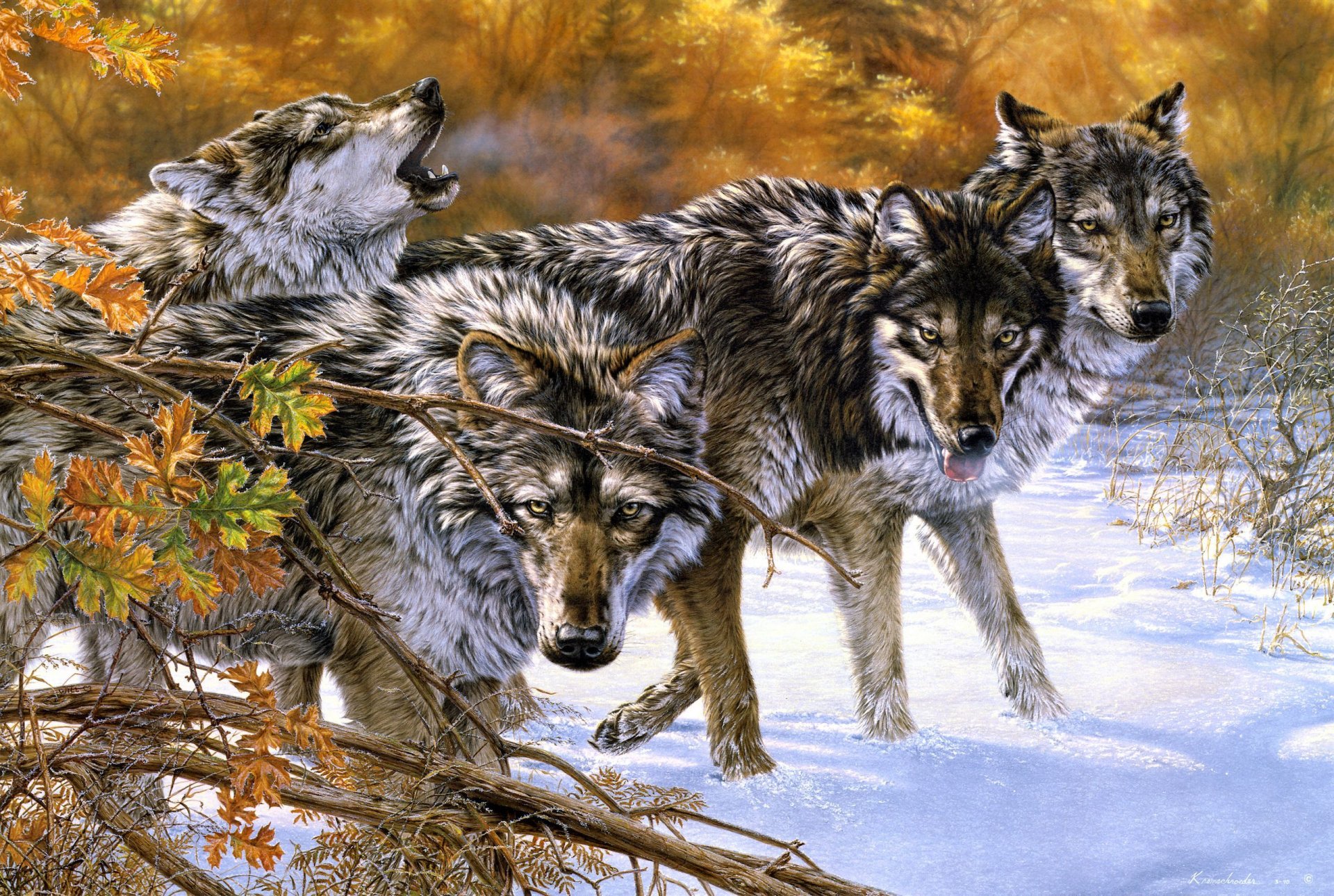 lee kromschroeder body language wolves article art