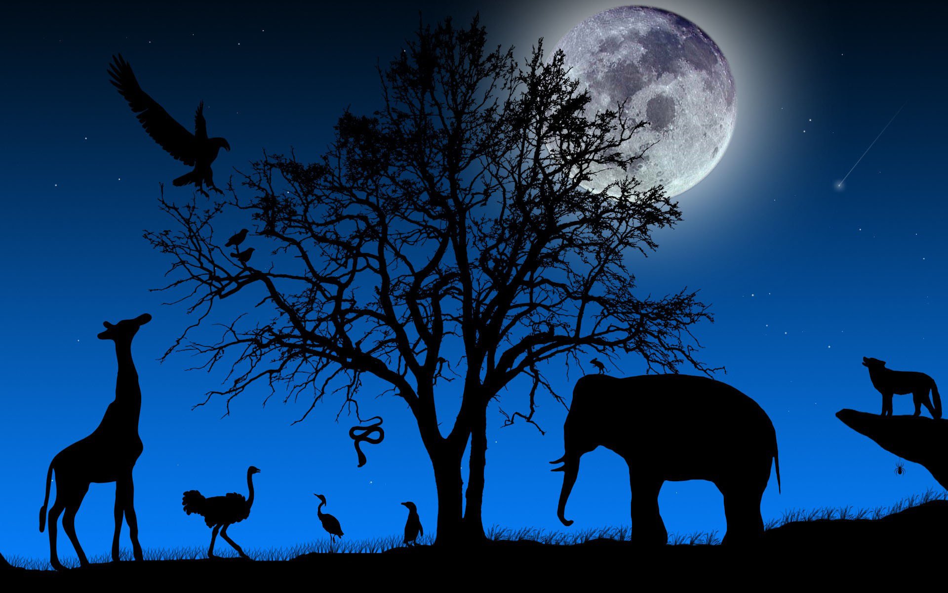 landscape tree branches crown animals elephant giraffe ostrich wolf birds shadow silhouettes sky night moon meteorite snake spider diversity form life