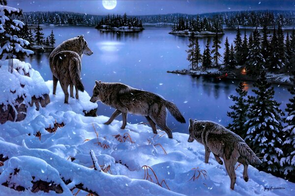 Lobos en el sendero de invierno junto al lago por la noche