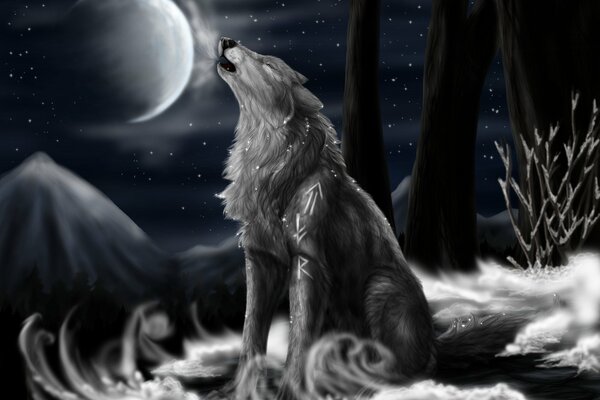 A gray wolf howls at the moon at night