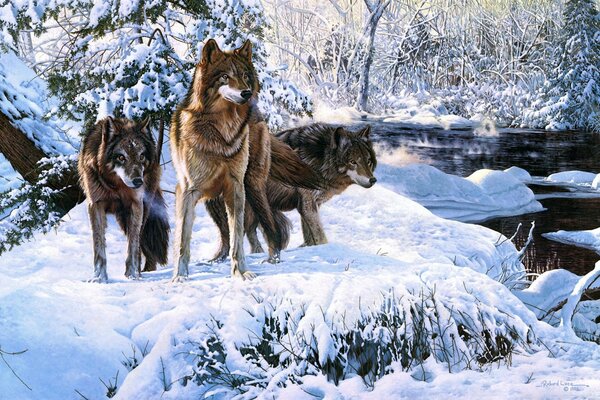 Wolves in the snow by the river