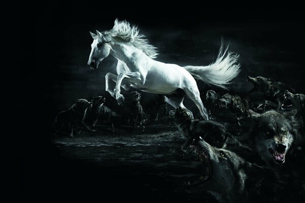 Белый конь в полумраке с волками