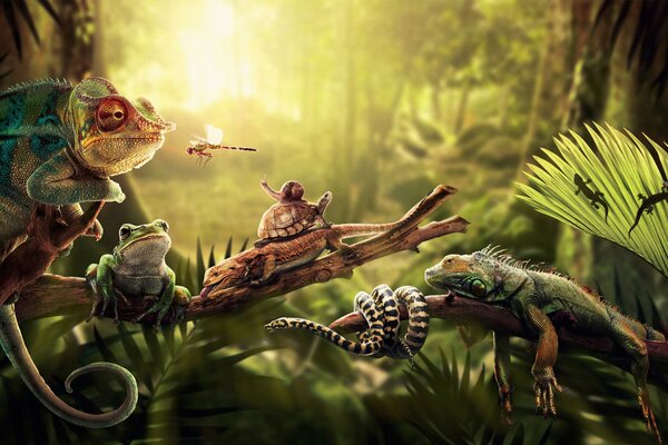 Ящерица, черепаха, стрекоза, змея, игуана и все это в джунглях
