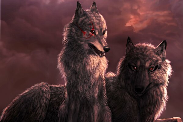 Coppia di lupi al tramonto