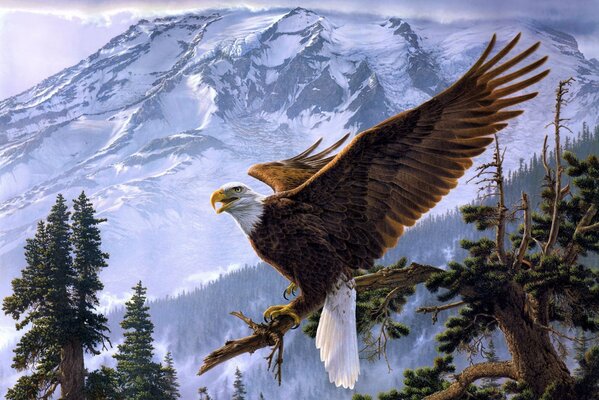 El águila en el fondo de las montañas es especialmente hermoso
