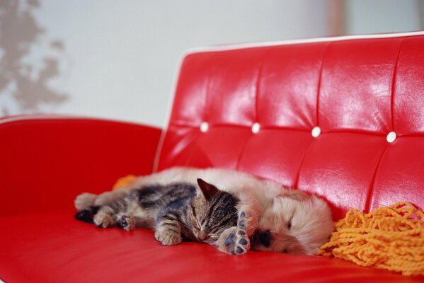 Mignon Babes dormir dans un câlin