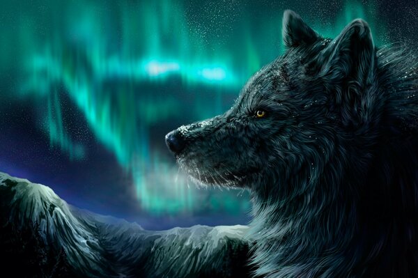 Волк ночью в горах на фоне северного сияния