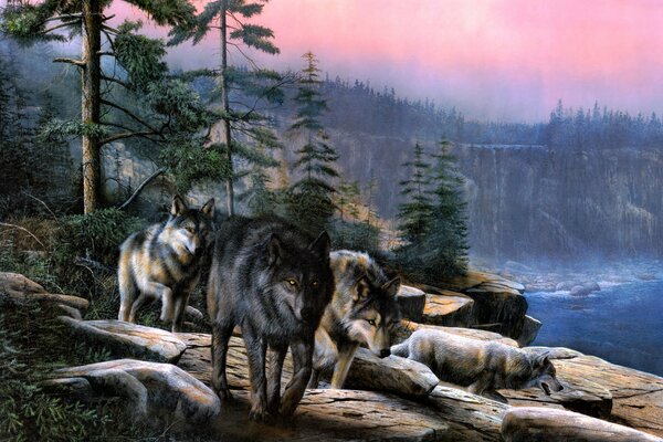 Gathering wolves in the forest at sunset