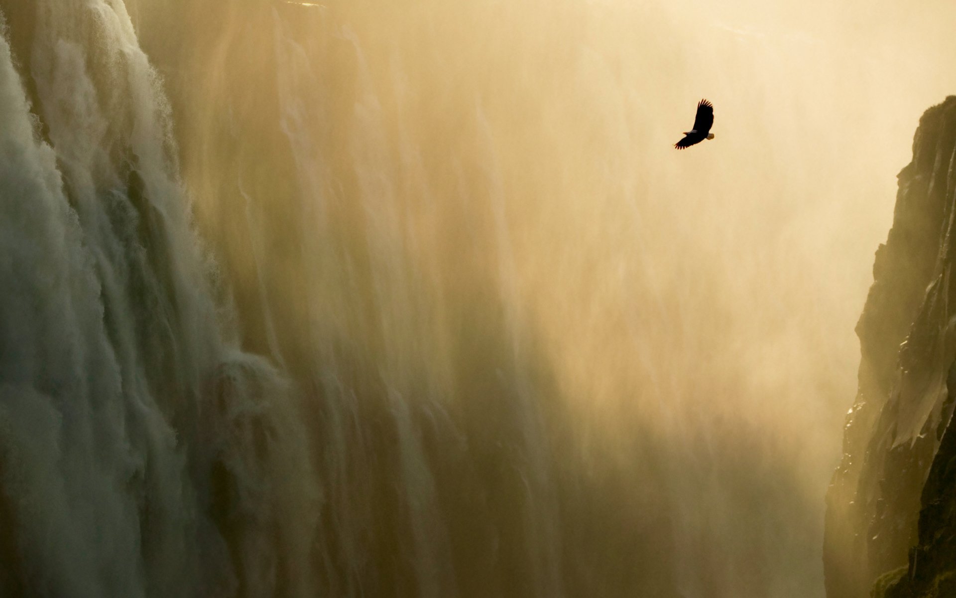 adler wasserfall berge