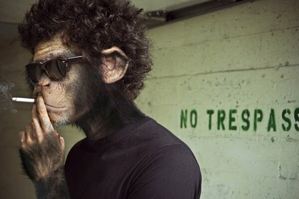 A monkey in a black turtleneck smokes near the wall with the inscription