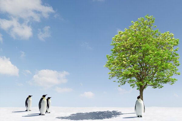 Pingüinos sorprendidos y un árbol verde