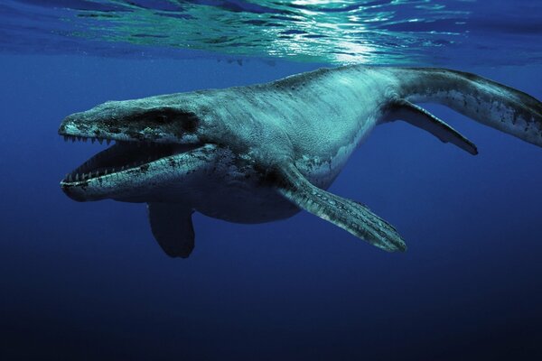 Fondos de pantalla de monstruo marino