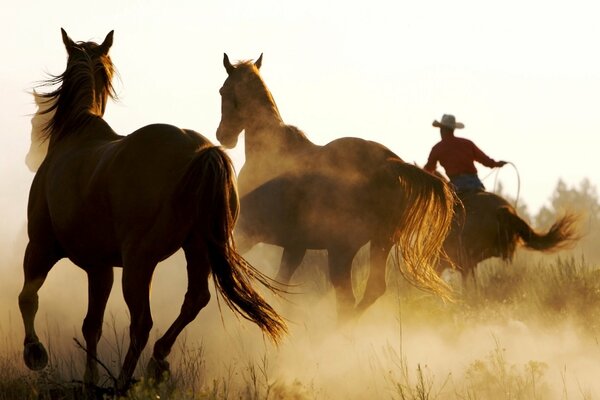 Tre uomini, uno dei quali con un cavaliere