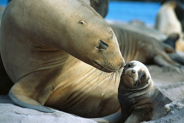 Such a cute mom and baby