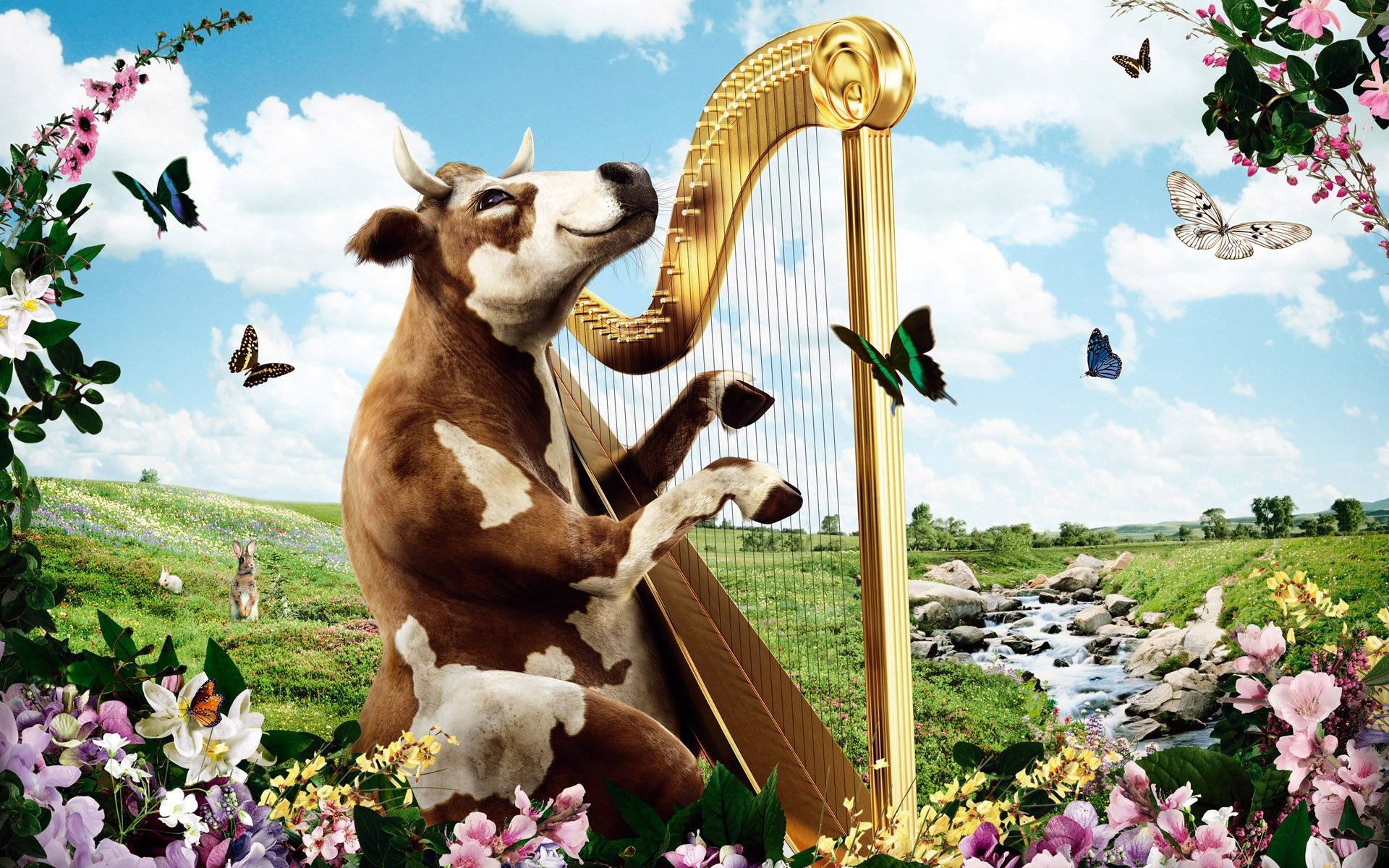 harp cow nature