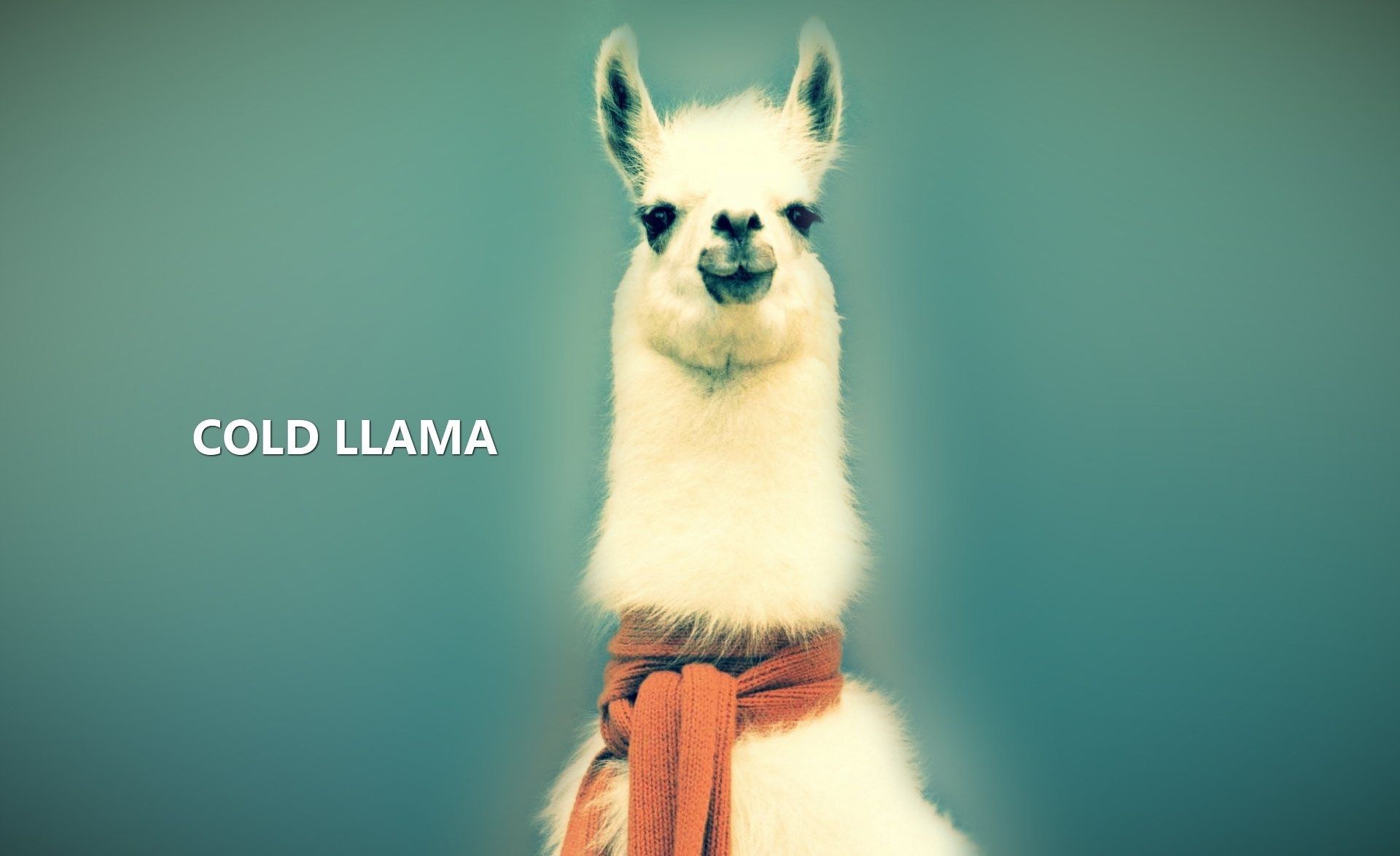 tier lama wolle augen schal blau hintergrund inschrift