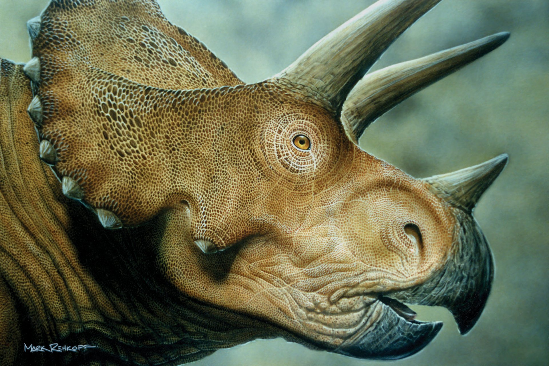 triceratops dinozaur mrodaha