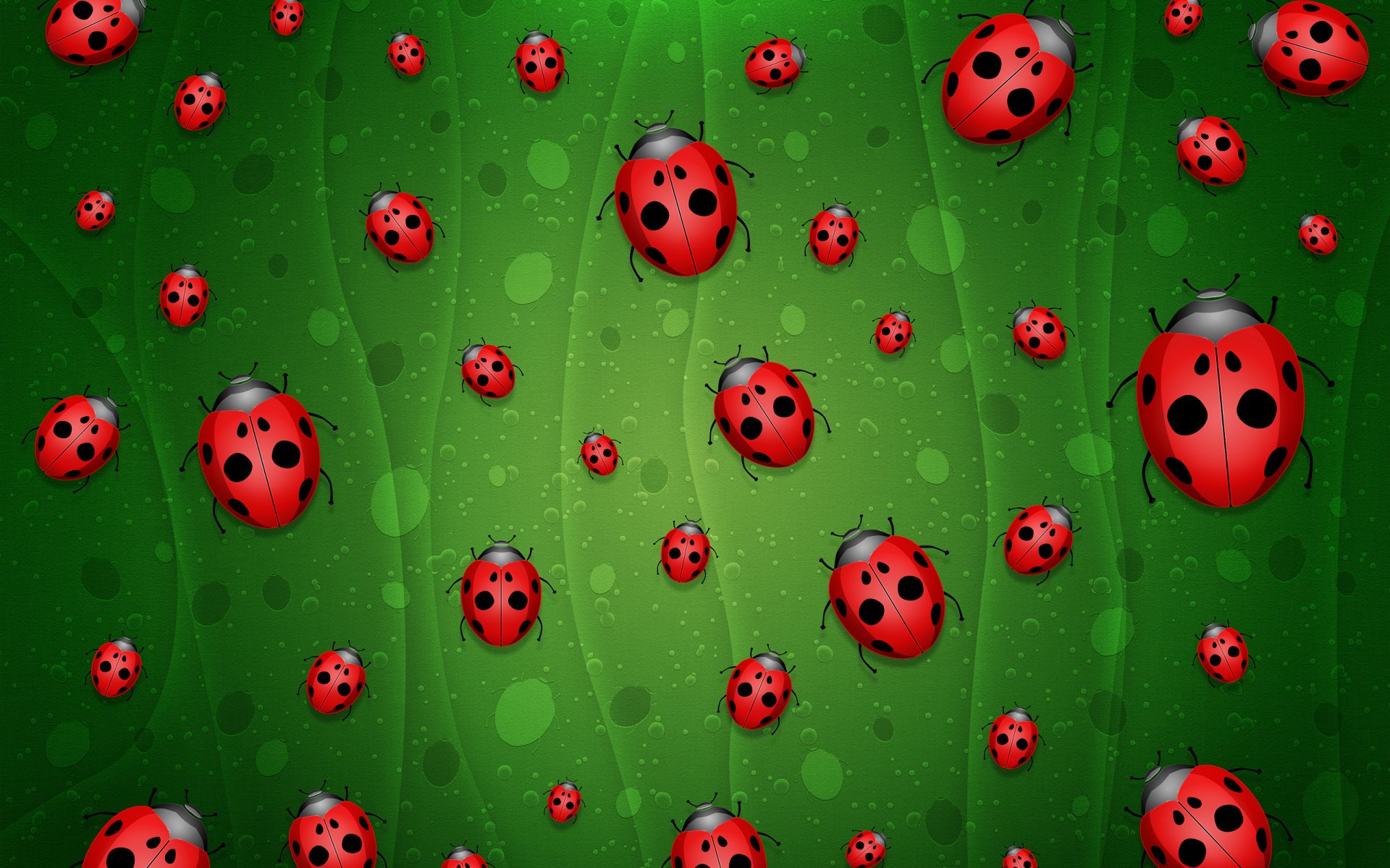 background green ladybug