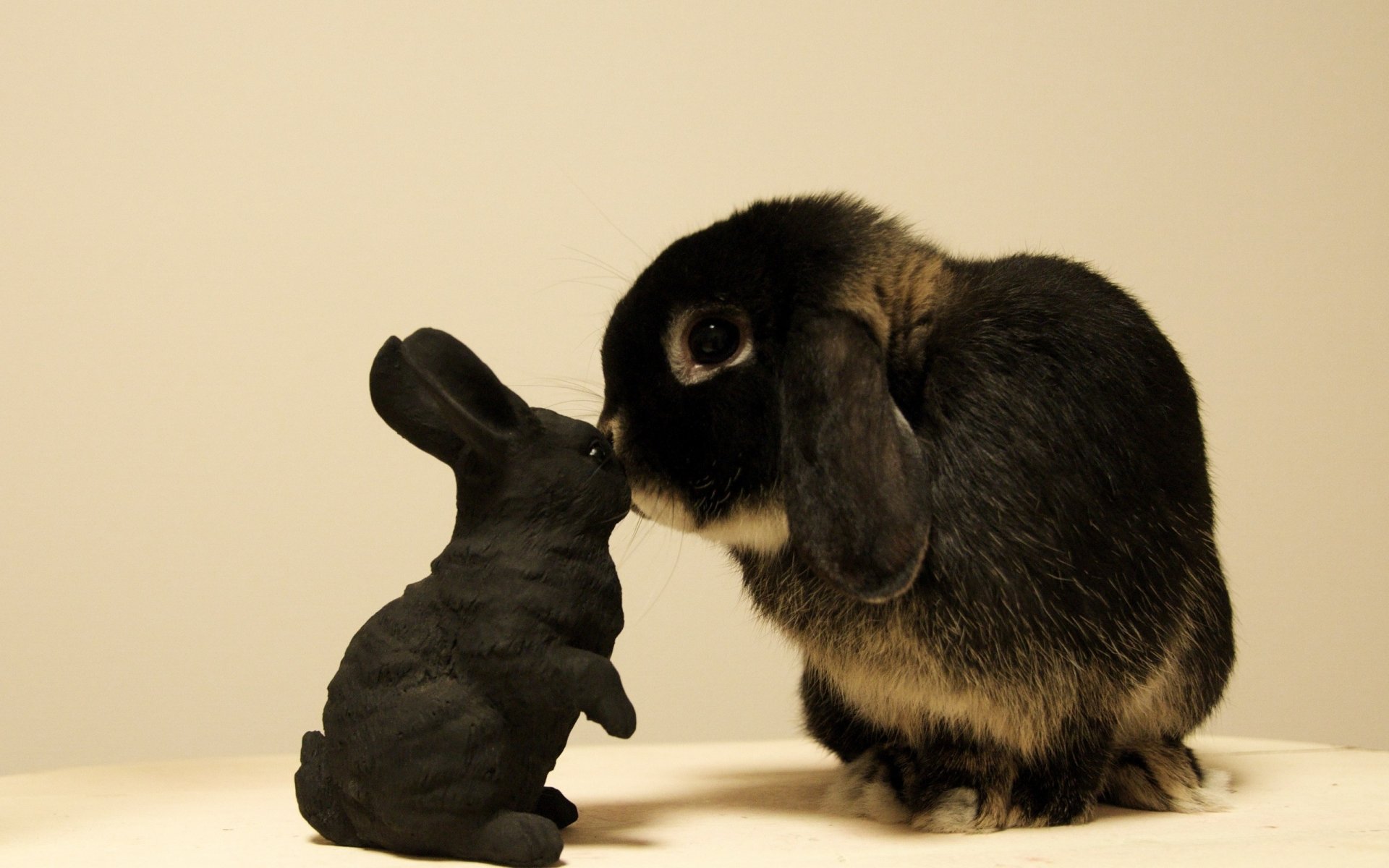 kaninchen hase spielzeug