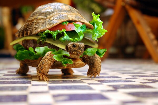 Humorvolle Tapete. Die Schildkröte ist ein Hamburger