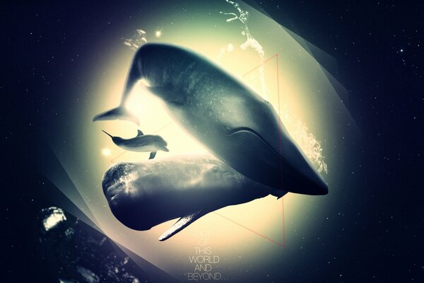 Immagine fantasy di delfini e balene nell abisso Marino