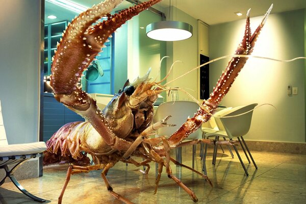 Giant lobster in the interior of the room
