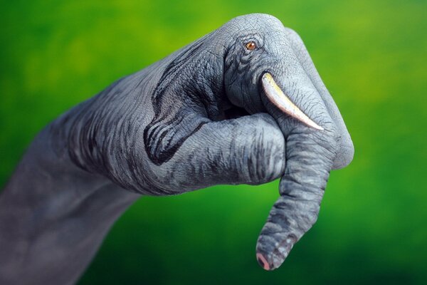 Body painting of a hand in the form of an elephant