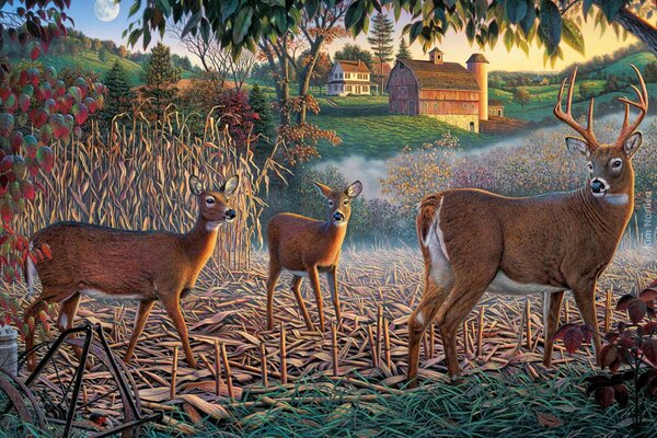 Deer in nature on the background of the village