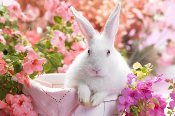 A white rabbit is sitting in a basket among flowers