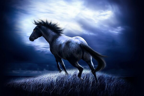 The horse runs across the field at night