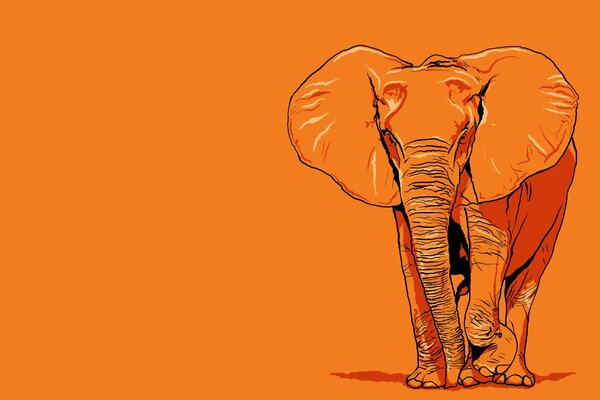 Gezeichneter Elefant auf orangefarbenem Hintergrund