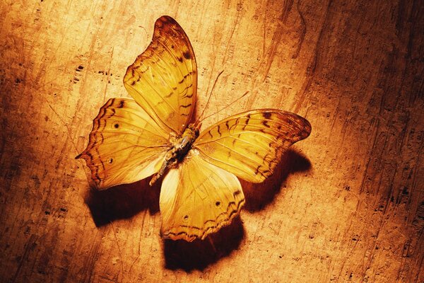 Mariposa amarilla hecha de madera