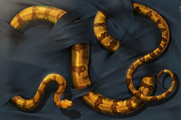 Snake entangled in fabric background screensaver