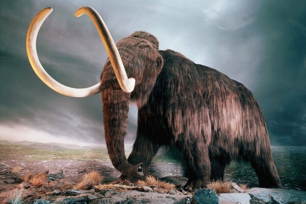 Extinct mammoth with large tusks